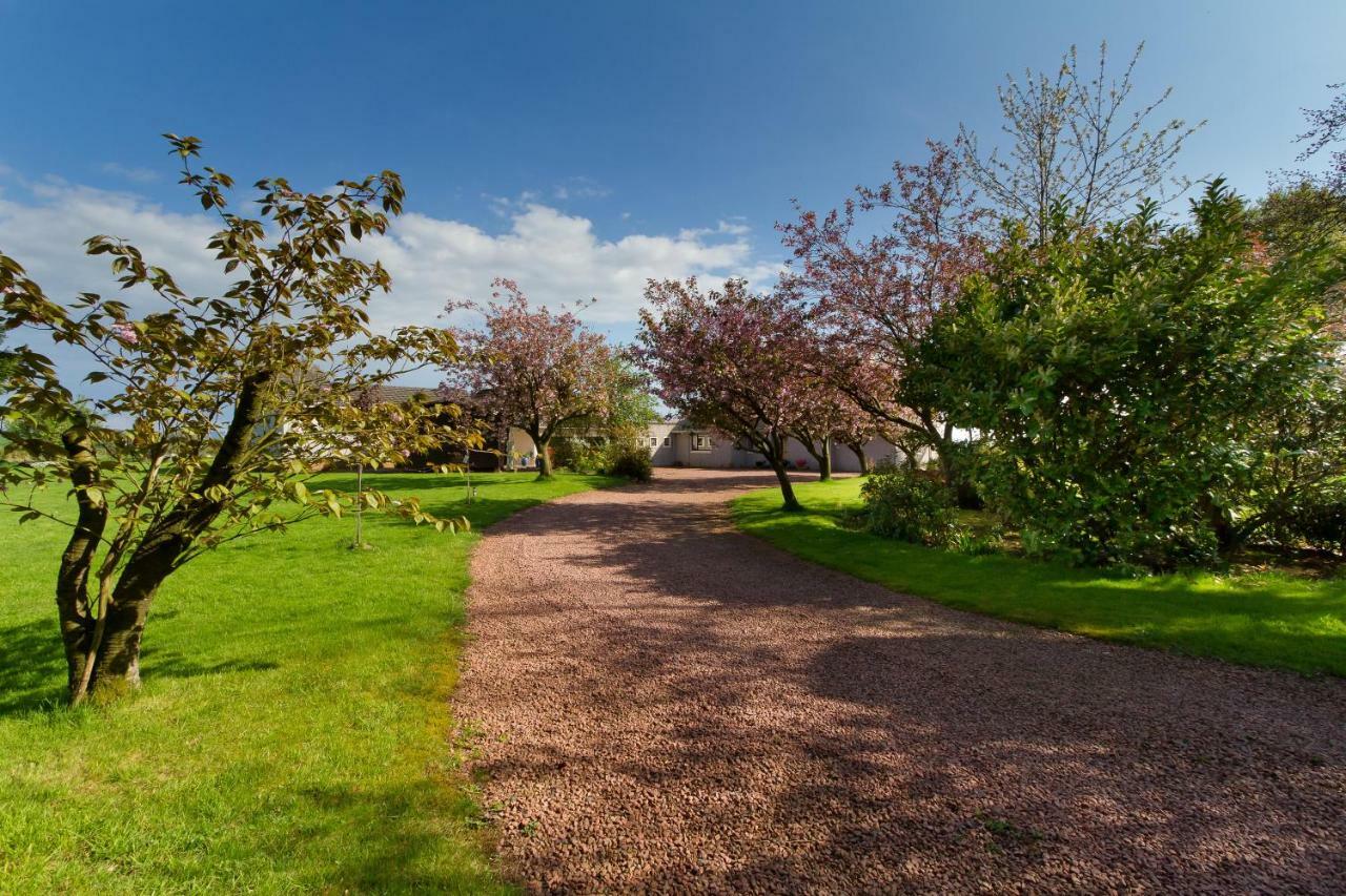 The Beeches B&B Kilmaurs 외부 사진