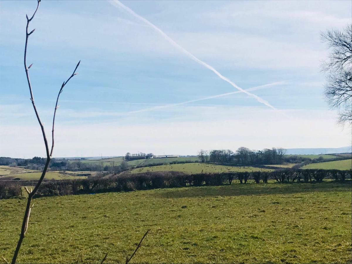 The Beeches B&B Kilmaurs 외부 사진