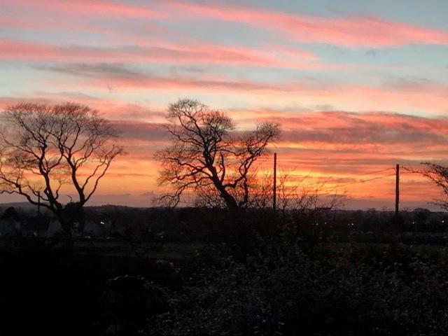 The Beeches B&B Kilmaurs 외부 사진